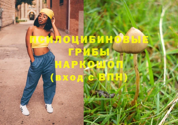ПСИЛОЦИБИНОВЫЕ ГРИБЫ Баксан