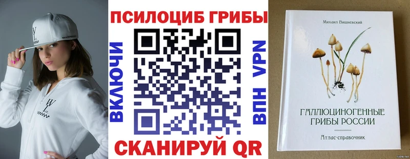 OMG зеркало  Рассказово  Псилоцибиновые грибы Psilocybine cubensis 